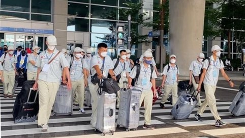 Tạm dừng đưa lao động Việt Nam sang Trung Đông