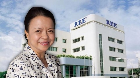 Cơ điện lạnh (REE) muốn thâu tóm dự án điện gió nghìn tỷ