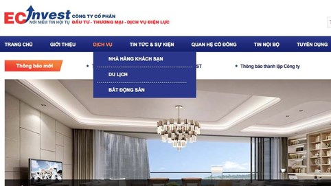 Đầu tư, thương mại dịch vụ Điện lực: Kinh doanh thua lỗ và nợ tiền