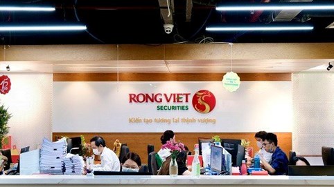 Lỗ kỷ lục, cổ phiếu Chứng khoán Rồng Việt bị đưa vào diện cảnh báo