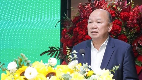 Cổ phiếu công ty ông Tô Dũng làm Chủ tịch tăng giá gấp đôi