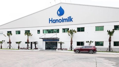 Cổ phiếu Hanoimilk liên tục “chuyền tay” nội bộ