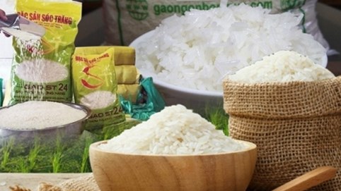Giá gạo xuất khẩu Việt Nam cao nhất thế giới