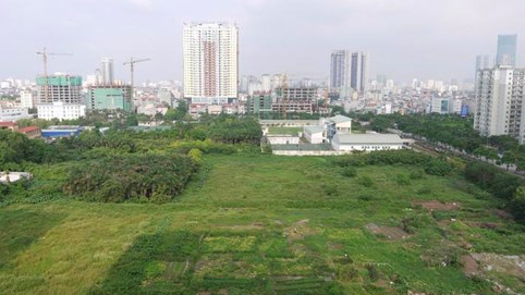 Hà Nội: Tạm dừng việc chia tách thửa đất nông nghiệp