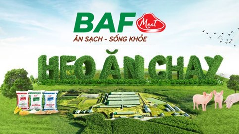 Nông nghiệp BaF (BAF): Thay 'tướng' khi lãi ròng lao dốc, dòng tiền kinh doanh âm gần 600 tỷ đồng, vẫn đặt kế hoạch lợi nhuận vượt mốc 1.000 tỷ