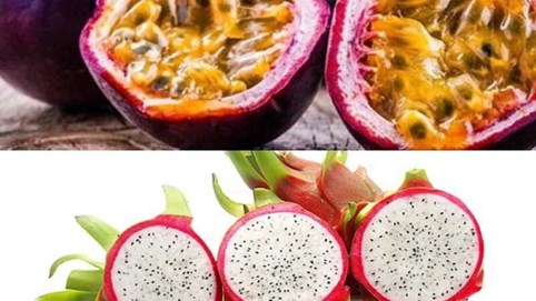 Chanh leo và thanh long Việt Nam đối diện nguy cơ bị EU siết chặt kiểm soát