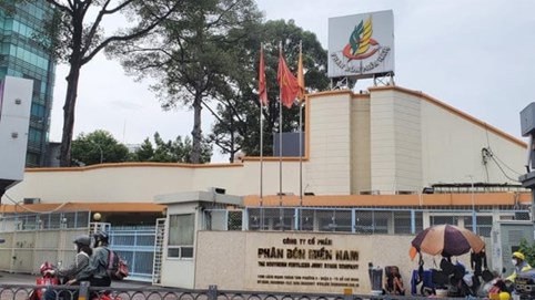 Phân bón Miền Nam dự kiến chia cổ tức tiền mặt 5%