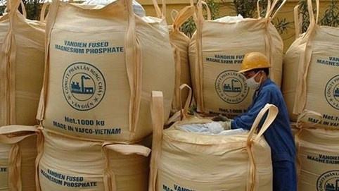 Phân lân Văn Điển trước "án" rời sàn HoSE bắt buộc