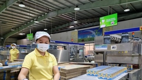 Sữa đậu nành Fami của Vinasoy bị thu hồi tại Nhật Bản