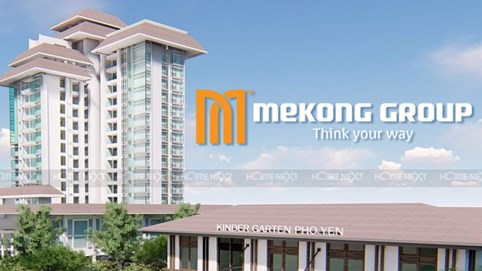 Tập đoàn Nam Mê Kông lãi gần trăm tỷ, nhưng tiền mặt co còn 19 tỷ, vay dài hạn tăng vọt lên 370 tỷ đồng