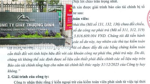Âm vốn, lỗ nặng, Giầy Thượng Đình vẫn tính vay gần 8.000 tỷ làm dự án