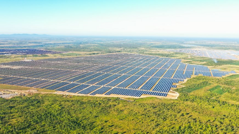 Xuân Thiện Đắk Lắk bị phạt vì vi phạm công bố thông tin trái phiếu, lợi nhuận đi lùi, nợ phải trả vẫn còn hơn 3.000 tỷ đồng