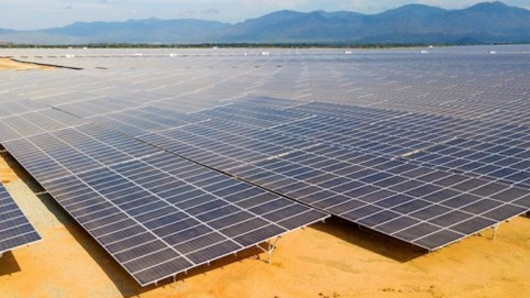 Quảng Ngãi tạm dừng 2 dự án nhà máy điện mặt trời hơn 1.982 tỷ đồng