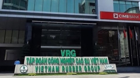 Tập đoàn Công nghiệp Cao su Việt Nam (VRG): Lãi ròng sụt giảm và khoản đầu tư 1.163 tỷ đồng vào chứng khoán