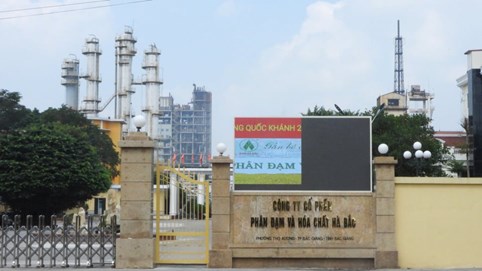 Đạm Hà Bắc bất ngờ báo lãi tăng hơn 15 lần, cổ phiếu tăng kịch trần