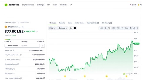 Bitcoin trở lại mức 79.000 USD, các 'tay to' tiếp tục mua vào