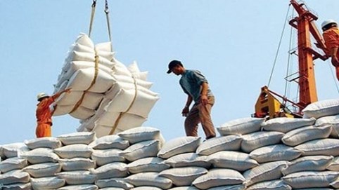 Bộ Công Thương thu hồi 10 giấy phép xuất khẩu gạo