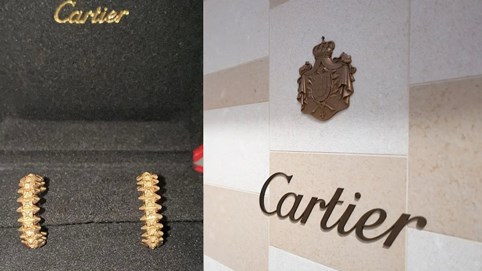 Mua bông tai Cartier nạm kim cương với chỉ 13 USD do... lỗi đánh máy