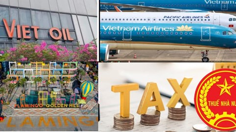 Xuyên Việt Oil, Golden Hill, Pacific Airlines bị công khai nợ thuế hàng trăm tỷ đồng