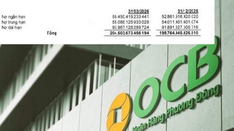 Nợ có khả năng mất vốn của OCB vượt 4.500 tỷ đồng
