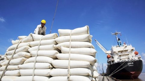 Việt Nam có thể thành quốc gia nhập khẩu gạo lớn thứ 2 thế giới
