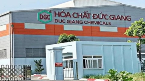 DGC gấp rút hoàn tất báo cáo kiểm toán để 'giải cứu' cổ phiếu khỏi diện kiểm soát