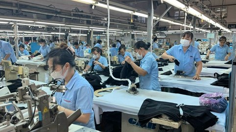 Kế hoạch hành động của Chính phủ về phát triển kinh tế tư nhân