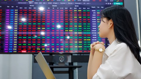 VHM thay VIC giữ chỉ số, thị trường chứng khoán 'xanh vỏ, đỏ lòng'