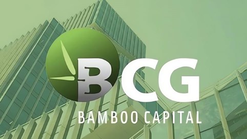 Bamboo Capital lên kế hoạch khôi phục giao dịch cổ phiếu