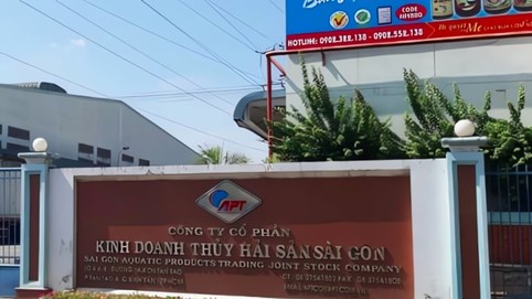 Vay 5.833 lượng vàng giá 7,7 triệu/lượng, DN thủy sản gánh khoản nợ gần 2.750 tỷ đồng