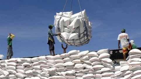 'Sóng ngầm‘ giá gạo và bài toán sinh tồn của doanh nghiệp Việt