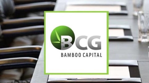 Hàng loạt kế hoạch 'khủng' nhưng lại khát vốn, Bamboo Capital đang ra sao?