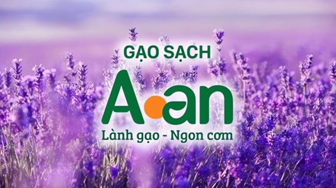 Cổ phiếu tăng trần liên tiếp sau niêm yết, Lương thực A An lên tiếng