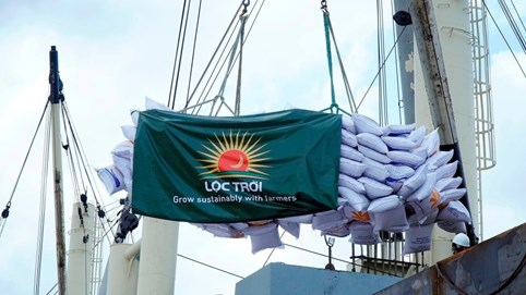 Lộc Trời vẫn chưa thể 'cởi trói' hoàn toàn cho cổ phiếu LTG