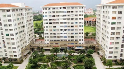 Từ 1/7, thí điểm chỉ định thầu nhà ở xã hội