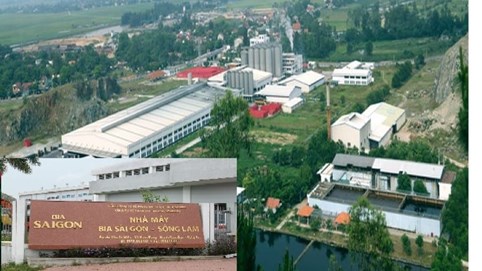 Bia Sài Gòn - Sông Lam: Lợi nhuận sau thuế quý I/2025 tăng mạnh bất chấp doanh thu sụt giảm
