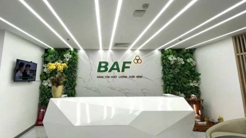 Công ty Nông nghiệp BAF Việt Nam và Công ty Phát triển Nông nghiệp sạch Thanh Xuân bị phạt