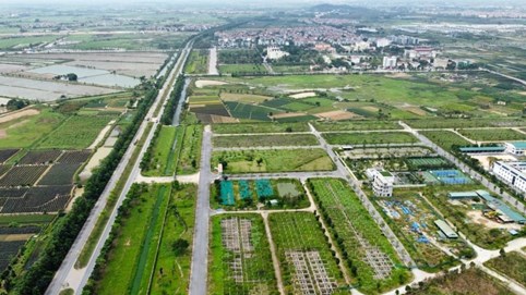 Hà Nội: Sắp đấu giá 72 lô đất, giá từ 6,3 triệu đồng/m2