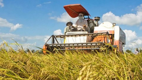 Hợp tác xã được vay tối đa 5 tỷ không cần tài sản bảo đảm