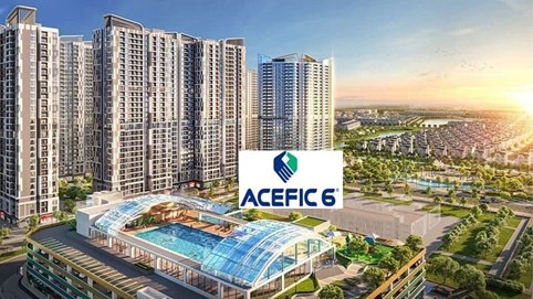 ACE 6 Việt Nam bị đối tác 'tố' chây ì công nợ nhiều năm