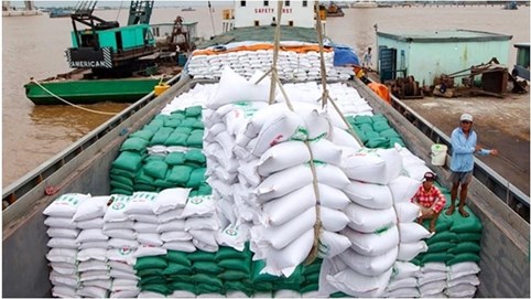 Lộc Trời, Angimex và những ‘ông lớn’ buôn gạo hụt hơi trên đường đua