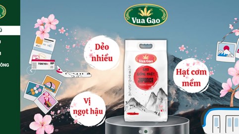 Tìm hiểu King Green: 'Vua Gạo' bị cấm đấu thầu vì bán hàng kém chất lượng