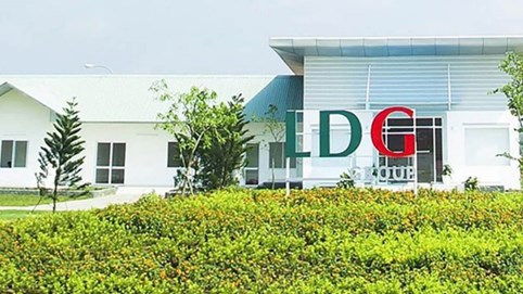Cổ phiếu LDG tăng mạnh sau khi cựu chủ tịch tái xuất