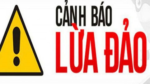 Cảnh báo giả mạo cơ quan thuế để lừa hộ, cá nhân kinh doanh cập nhật thông tin
