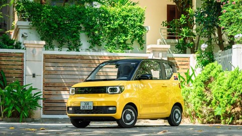 Hà Nội đề xuất cấm xe xăng, cổ phiếu TMT bất ngờ 'tím lịm'