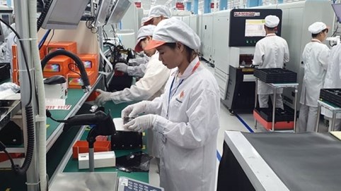 Đà Nẵng miễn thuế cho doanh nghiệp đổi mới sáng tạo