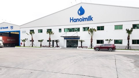 Chi phí lãi vay đè nặng lợi nhuận của Hanoimilk