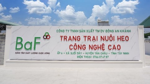 BAF thu lãi kỷ lục nhờ chăn nuôi heo, trắng doanh thu từ thương mại nông sản