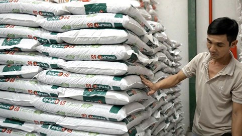 PVFCCo – Phú Mỹ ra mắt Hữu cơ Phú Mỹ Organic, hoàn thiện “Bộ ba vàng” dinh dưỡng cho nông nghiệp bền vững