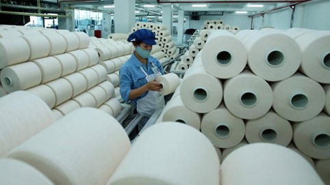 Chênh lệch tỷ giá đẩy Sợi Thế Kỷ lỗ quý thứ 2 liên tiếp